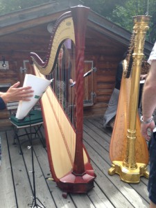 two harps