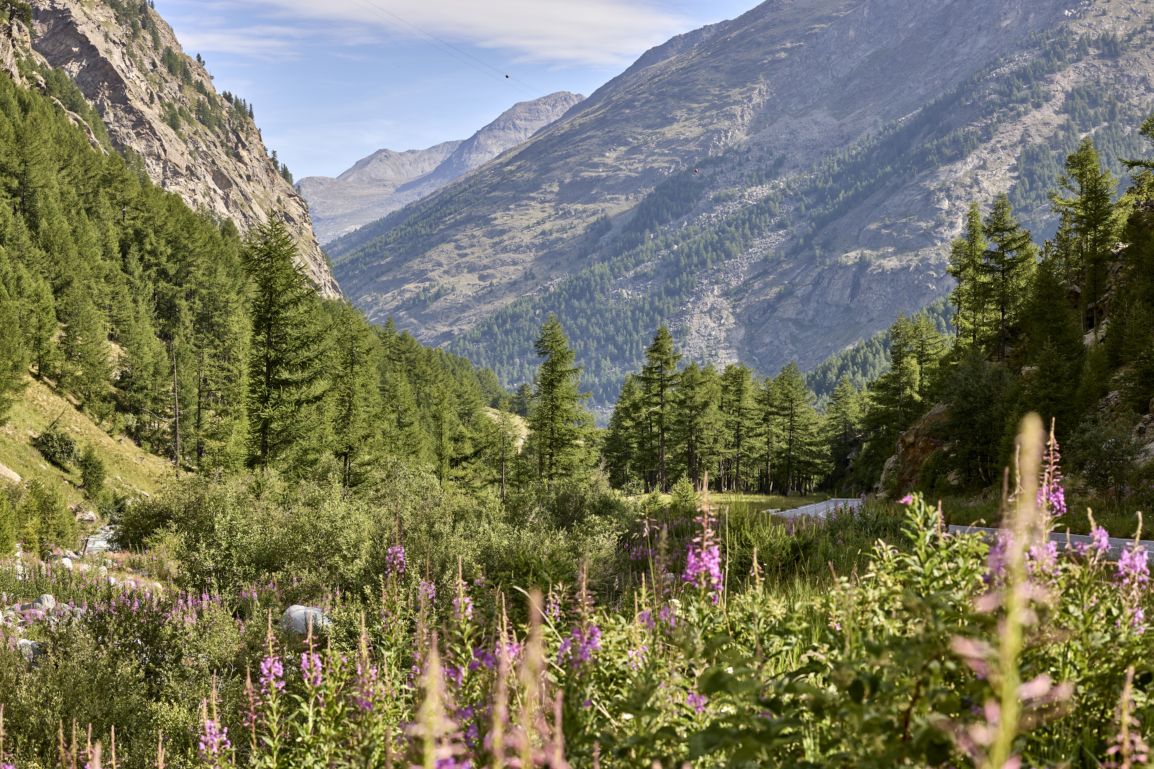 Landschaft Mattmarkgebiet Sommer 2022