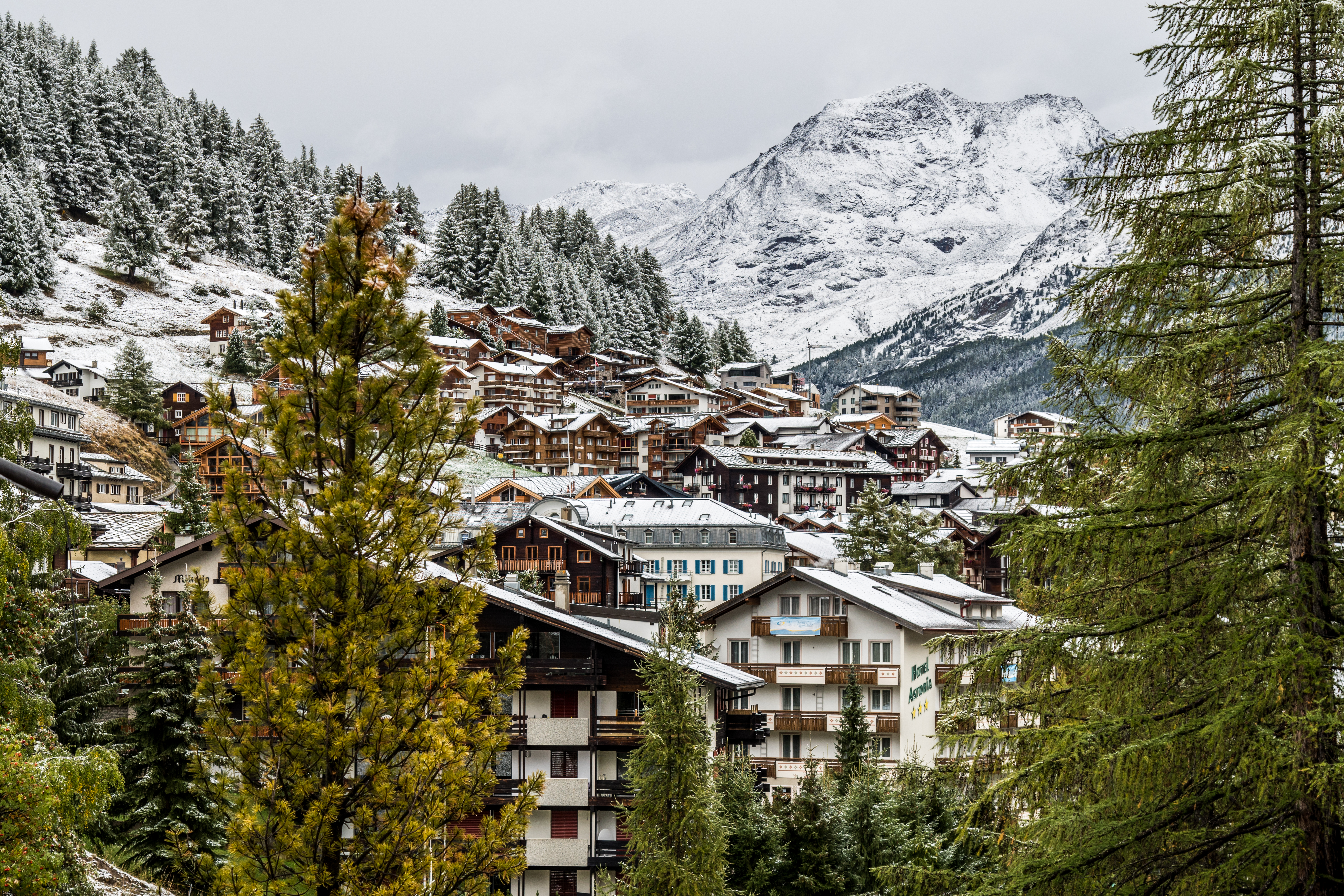 Commerces et activités ouverts en novembre