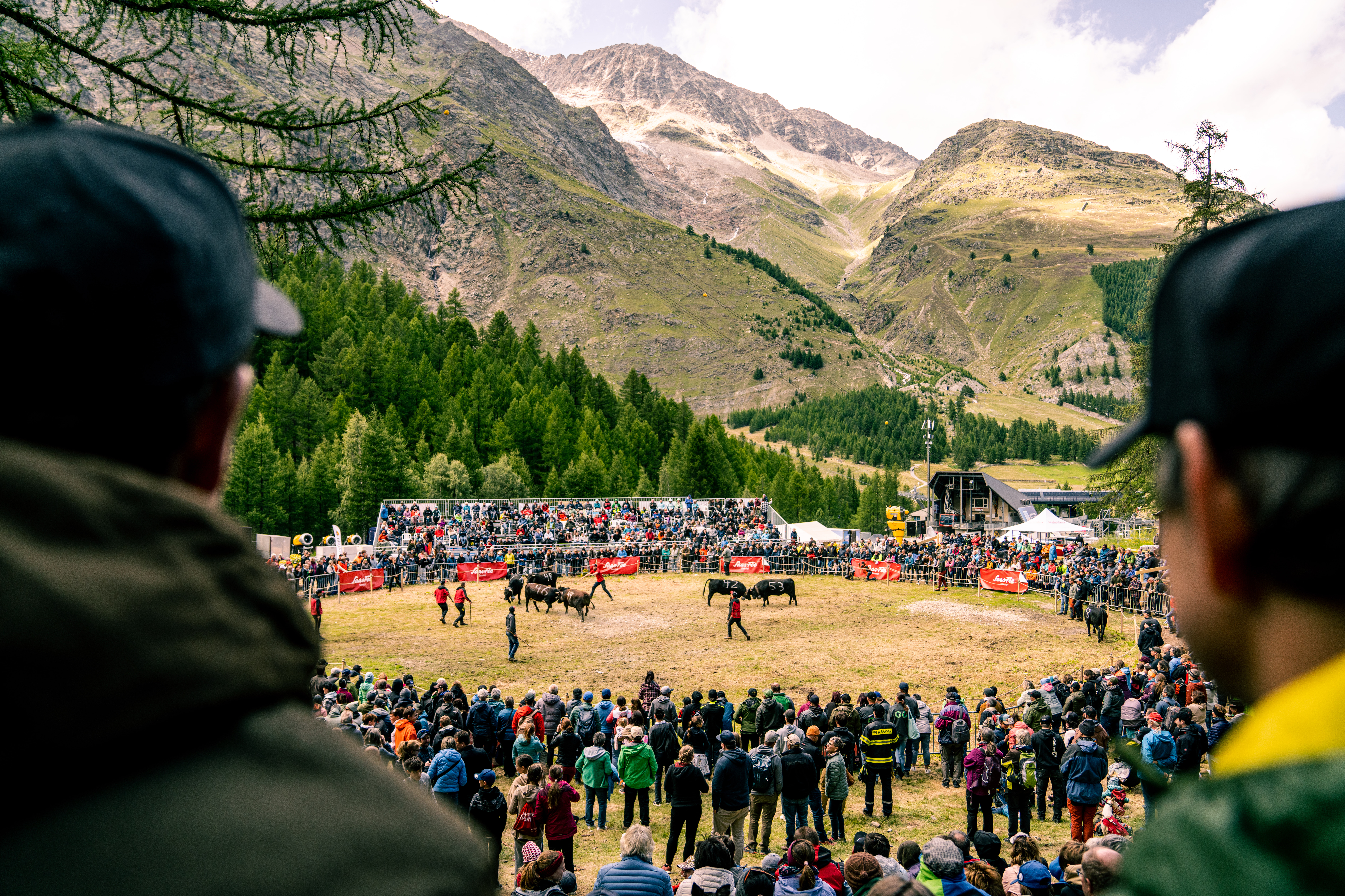 Top events in summer